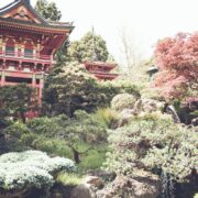 Japanese Gardens in San Francisco